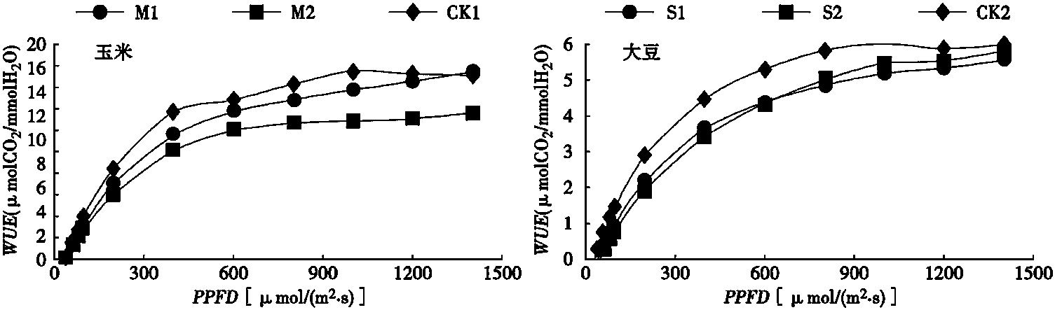 硅肥對(duì)玉米和大豆光合特性及產(chǎn)量形成的影響